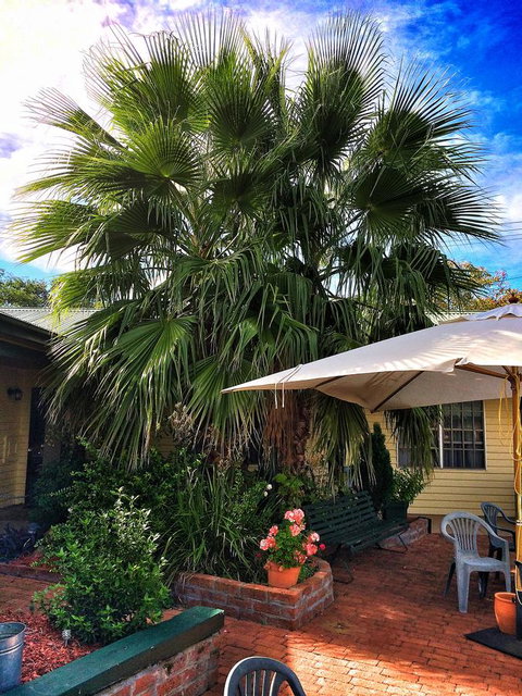 Ten Dollar Town Motel - Accommodation Kalgoorlie 17
