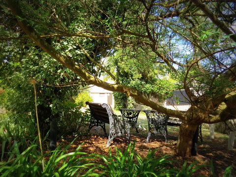 The Pig And Whistle - Accommodation Kalgoorlie 4