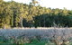 Taralee Orchards - thumb 5