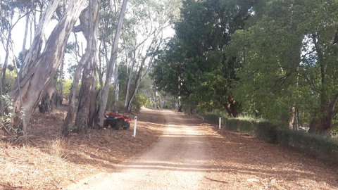 Taralee Orchards - Accommodation Kalgoorlie 4
