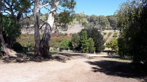 Taralee Orchards - Accommodation Kalgoorlie 3