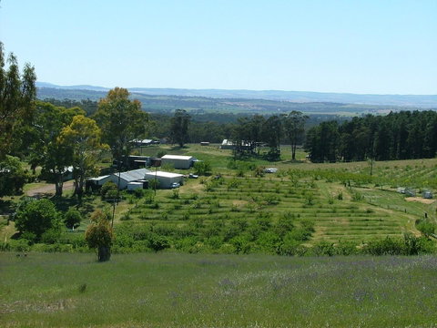 Taralee Orchards - Accommodation Kalgoorlie 0