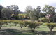 Taralee Orchards - thumb 1