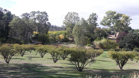 Taralee Orchards - Accommodation Kalgoorlie 1