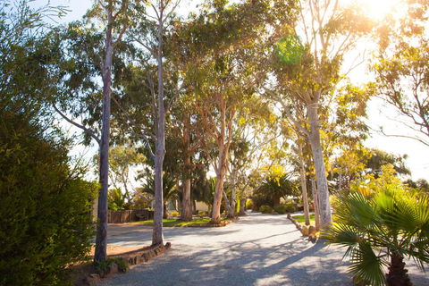 Modra\'s Apartments - Accommodation Kalgoorlie 0