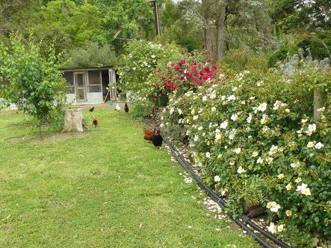 Camawald Coonawarra Cottage B&B - Accommodation Kalgoorlie 3