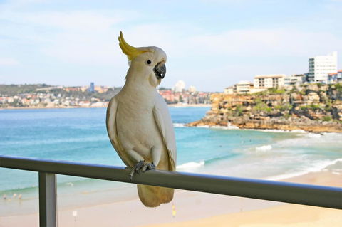 Beachfront Bliss - Accommodation Kalgoorlie 23