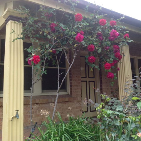 Oats Cottage - Accommodation Kalgoorlie 3