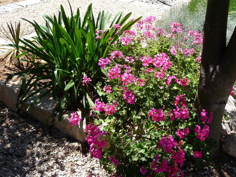 Country Bakehouse Accommodation - Accommodation Kalgoorlie 18