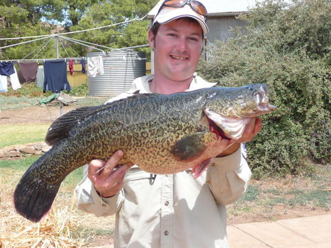 Country Bakehouse Accommodation - Accommodation Kalgoorlie 20