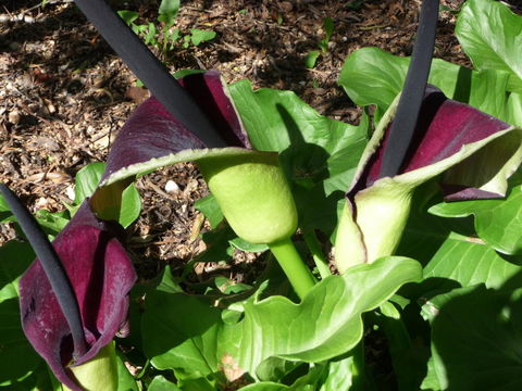 Country Bakehouse Accommodation - Accommodation Kalgoorlie 19