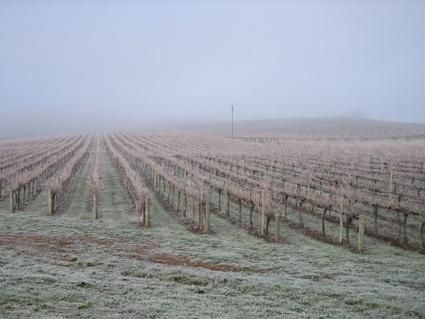 Vineyard Cottage BnB - Accommodation Kalgoorlie 12
