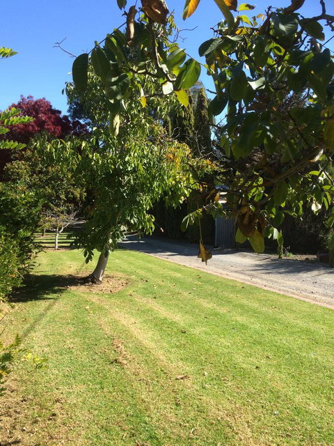 Vineyard Cottage BnB - Accommodation Kalgoorlie 17