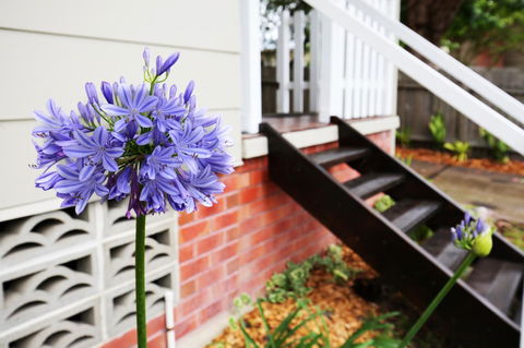 Hudson Bay @ Basin View-Pet Friendly-15 Mins To Hyams Beach - Accommodation Kalgoorlie 38