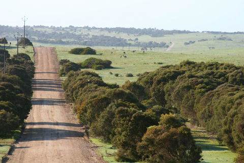 Almonta Park Lodge - Accommodation Kalgoorlie 1