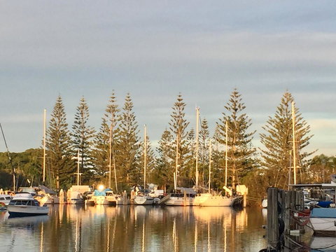 Brunswick Heads Treetop Studio - Accommodation Kalgoorlie 24
