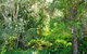 Brunswick Heads Treetop Studio - thumb 20