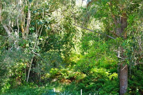 Brunswick Heads Treetop Studio - Accommodation Kalgoorlie 20