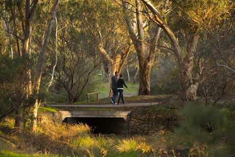 BIG 4 Barossa Tourist Park - Accommodation Kalgoorlie 26