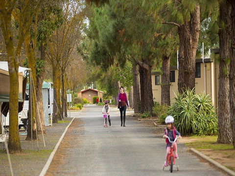 BIG 4 Barossa Tourist Park - Accommodation Kalgoorlie 36