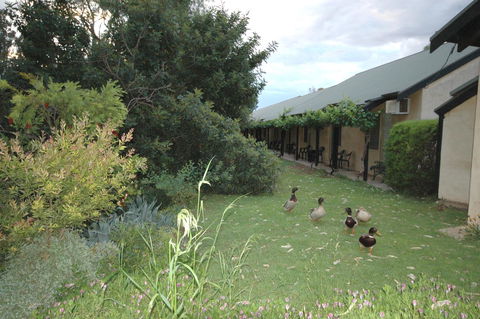 Burra Motor Inn - Accommodation Kalgoorlie 24