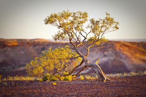 The Lookout Cave Underground Motel - Accommodation Kalgoorlie 22