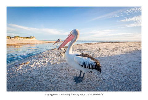 Adelaide Luxury Beach House - Accommodation Kalgoorlie 25