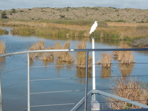 PS Federal Retreat Paddle Steamer Goolwa - Accommodation Kalgoorlie 11
