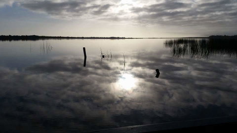 PS Federal Retreat Paddle Steamer Goolwa - Accommodation Kalgoorlie 16