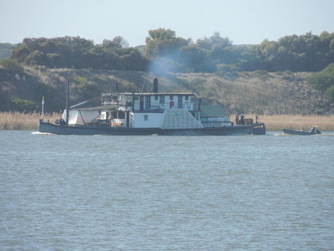 PS Federal Retreat Paddle Steamer Goolwa - Accommodation Kalgoorlie 10