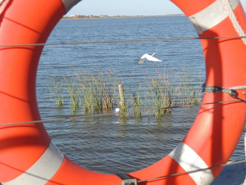 PS Federal Retreat Paddle Steamer Goolwa - Accommodation Kalgoorlie 18