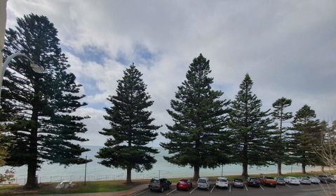 Pier Hotel Port Lincoln - Accommodation Kalgoorlie 12