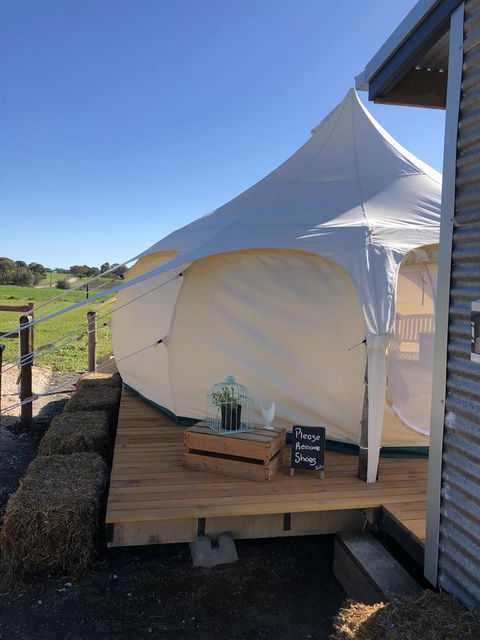 Bukirk Glamping & Fancy Coops - Accommodation Kalgoorlie 11
