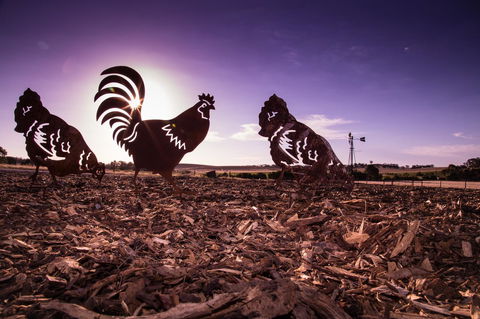 Bukirk Glamping & Fancy Coops - Accommodation Kalgoorlie 34