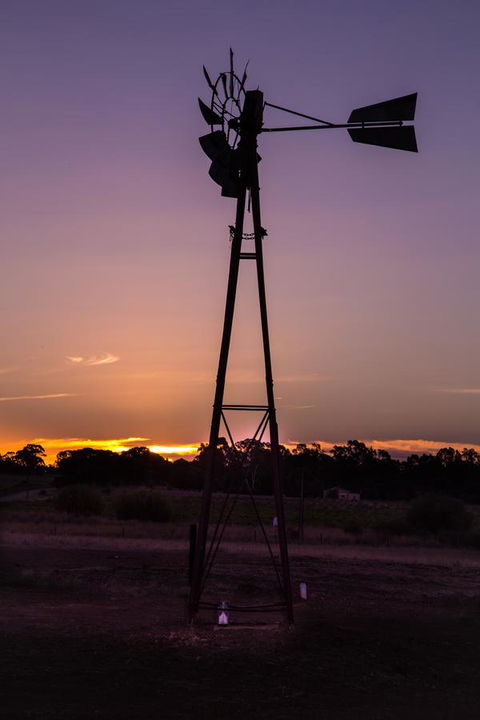 Bukirk Glamping & Fancy Coops - Accommodation Kalgoorlie 31