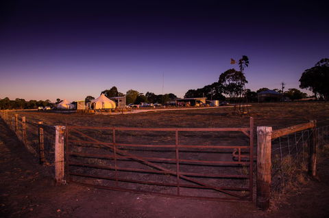 Bukirk Glamping & Fancy Coops - Accommodation Kalgoorlie 33