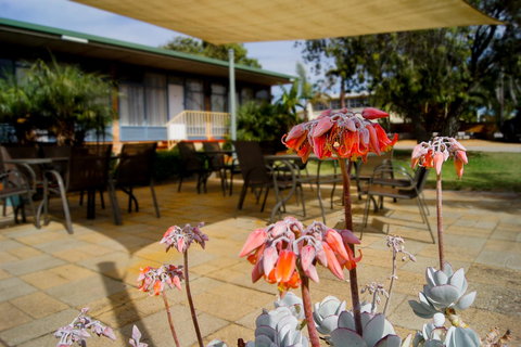 Kangaroo Island Seaview Motel - Accommodation Kalgoorlie 3