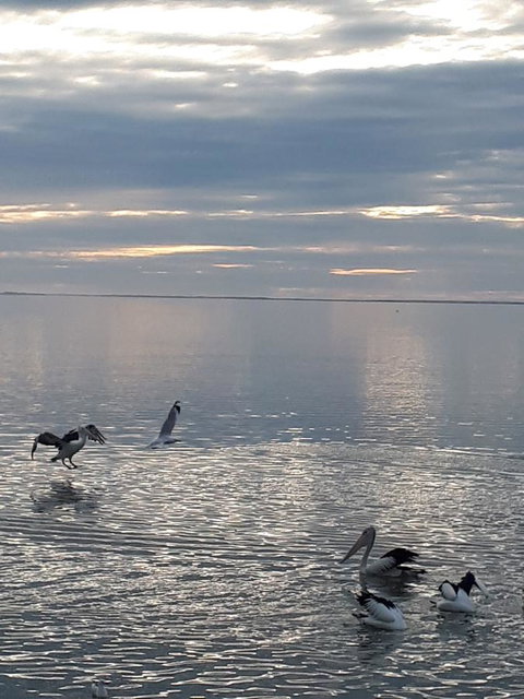 Meningie Waterfront Motel - Accommodation Kalgoorlie 24