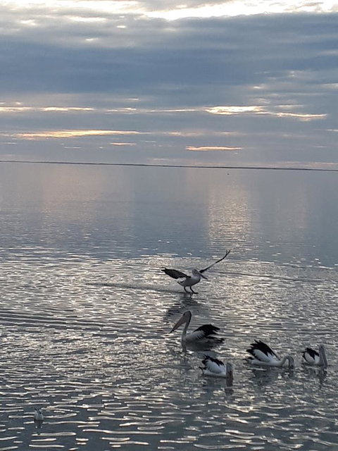 Meningie Waterfront Motel - Accommodation Kalgoorlie 25