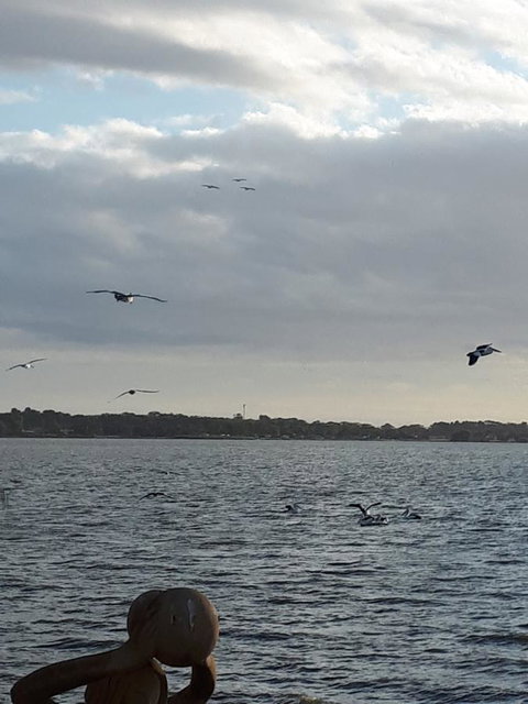 Meningie Waterfront Motel - Accommodation Kalgoorlie 34