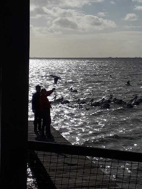 Meningie Waterfront Motel - Accommodation Kalgoorlie 27