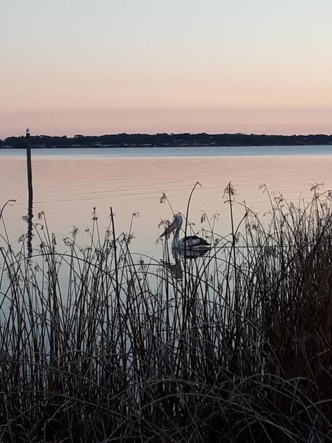 Meningie Waterfront Motel - Accommodation Kalgoorlie 8