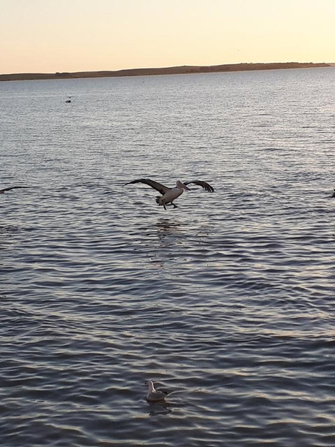 Meningie Waterfront Motel - Accommodation Kalgoorlie 22