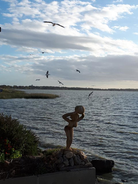 Meningie Waterfront Motel - Accommodation Kalgoorlie 33