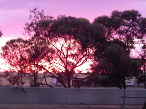 Wudinna Gawler Ranges Motel And Caravan Park - Accommodation Kalgoorlie 11