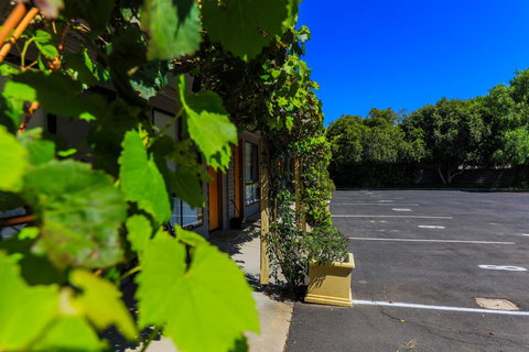 Country Roads Motor Inn Naracoorte - Accommodation Kalgoorlie 16