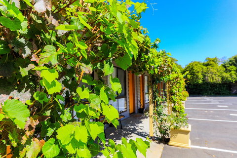 Country Roads Motor Inn Naracoorte - Accommodation Kalgoorlie 18