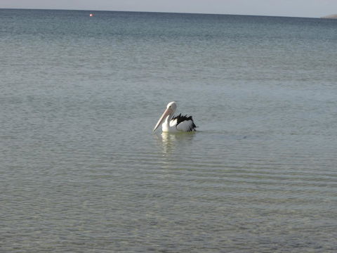 Lantauanan - The Lookout - Accommodation Kalgoorlie 2