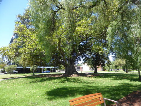 ADELAIDE CENTRAL APARTMENT - 3BR, 2BATH & CARPARK - Accommodation Kalgoorlie 30