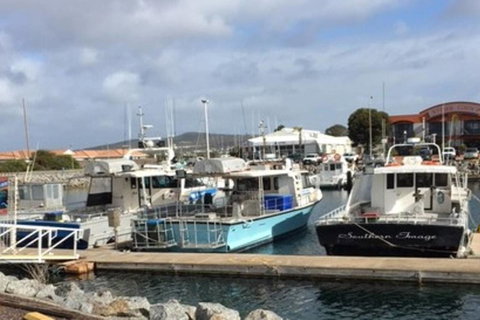 Port Lincoln Shark Apartment 2 - Accommodation Kalgoorlie 17